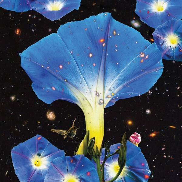 Sarah Louise - Nighttime Birds And Morning Stars - CD