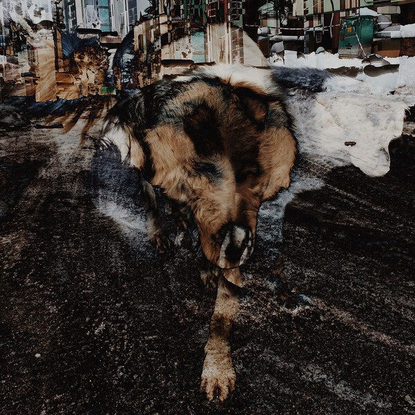 Joe Volk & Naiare - Primitive Energetics - LP