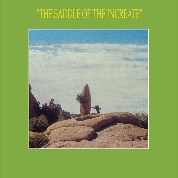 Sun Araw - The Saddle of The Increate - CD