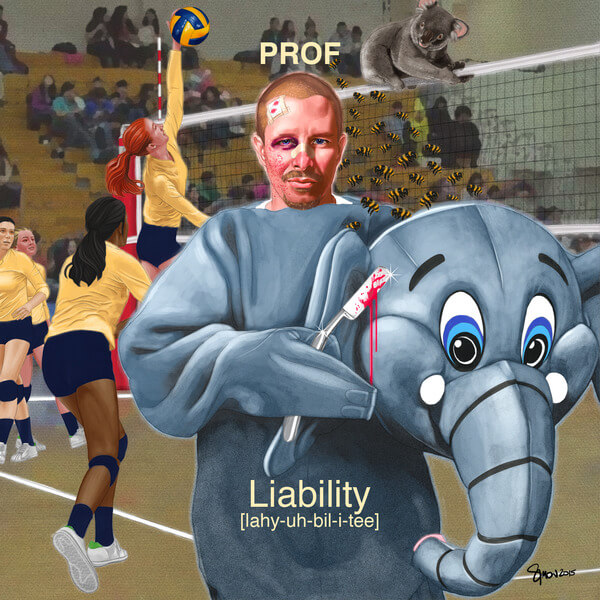 Prof - Liability - CD