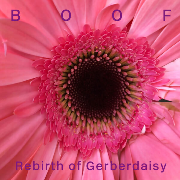 Boof - Rebirth of Gerberdaisy - 2LP