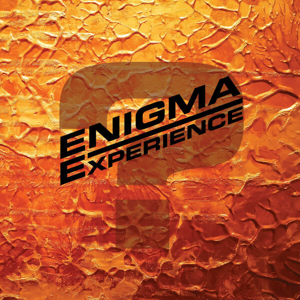 Enigma Experience - Question Mark - LP