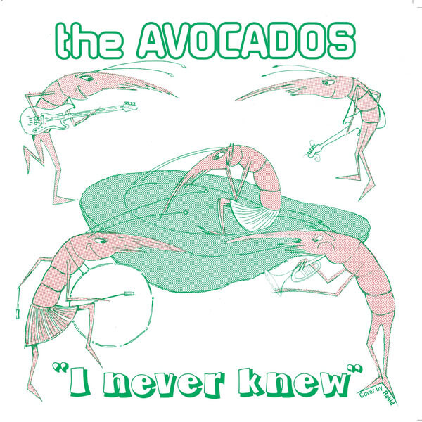 The Avocados - I Never Knew - 7"
