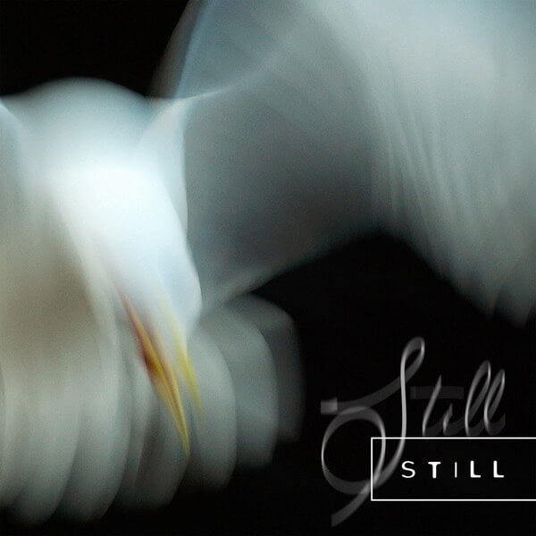 Aria Rostami & Daniel Blomquist - Still - CD