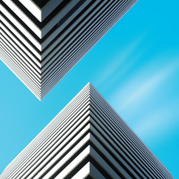 Snow Palms - Land Waves - LP