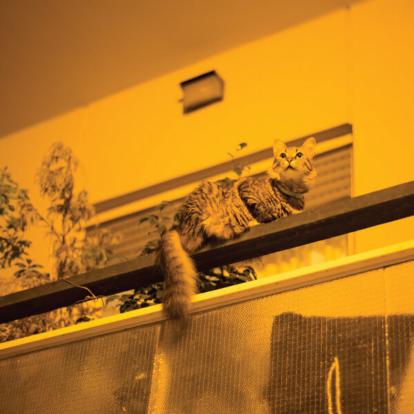 Sam Prekop - The Republic - LP