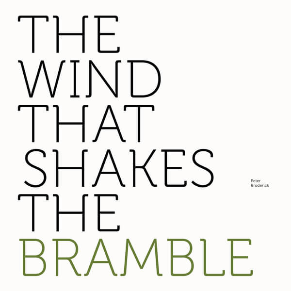 Peter Broderick - The Wind That Shakes The Bramble - LP