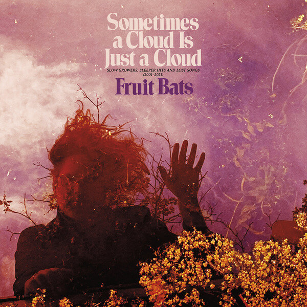 Fruit Bats - Sometimes a Cloud Is Just a Cloud: Slow Growers, Sleeper Hits and lost songs (2001 - 2021) - 2LP