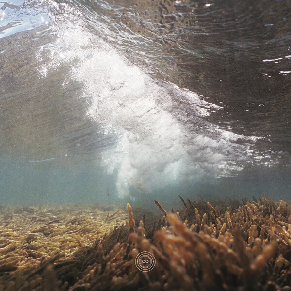 Galtier - Pulchra Es Elementis - LP