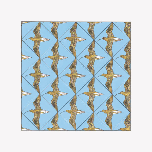 VA - Simmerdim : Curlew Sounds - 2CD