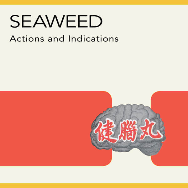 Seaweed - Actions and Indications - LP