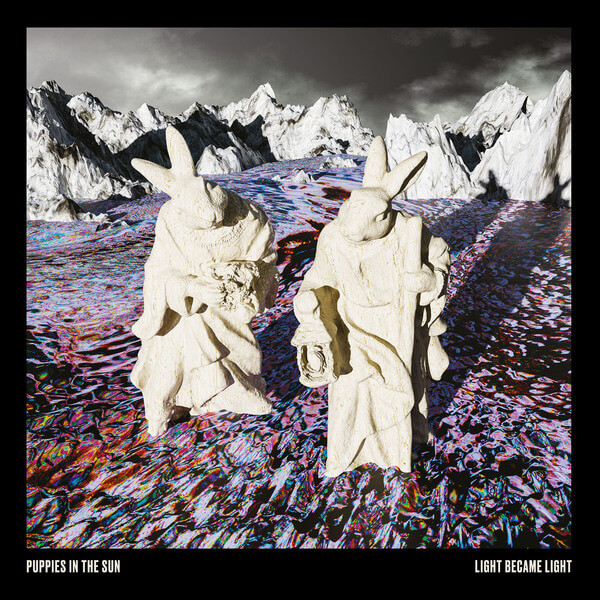 Puppies in the Sun - Light Became Light - LP