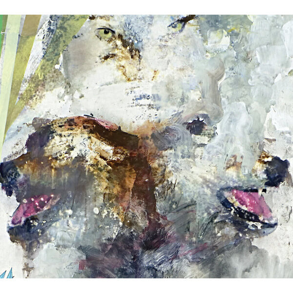 These Arms Are Snakes - Tail Swallower and Dove - CD