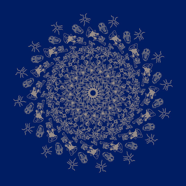 Yuzo Iwata - Kaizu - LP