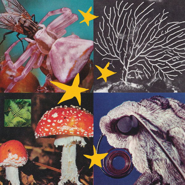 VA - All Things Considered Vol.2 - LP