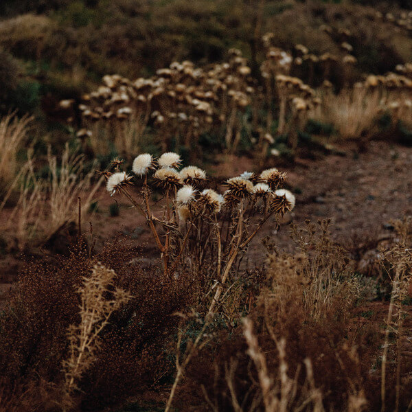 The Shaolin Afronauts - The Fundamental Nature of Being, Part Two - LP