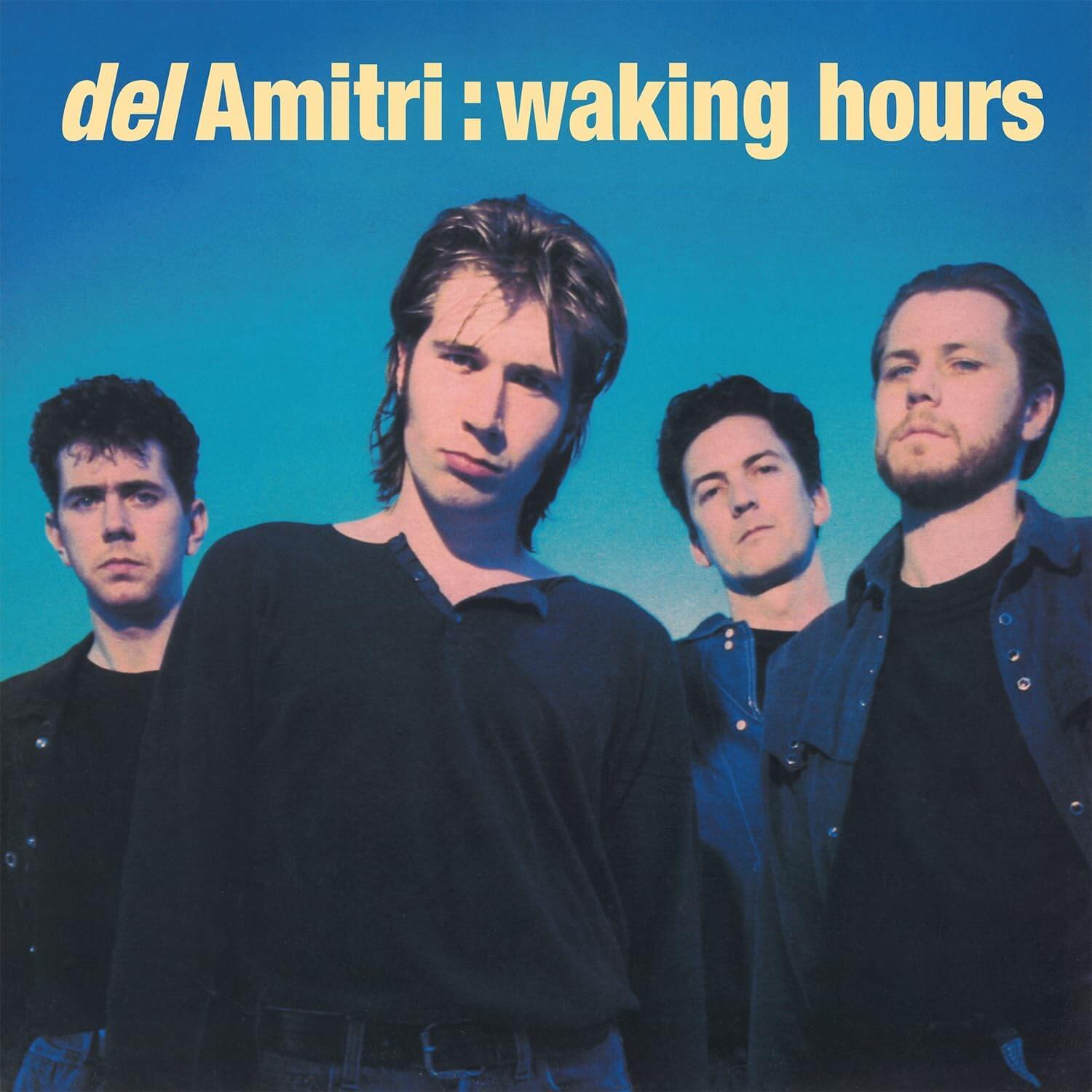 Del Amitri - Waking Hours - Vinyl LP