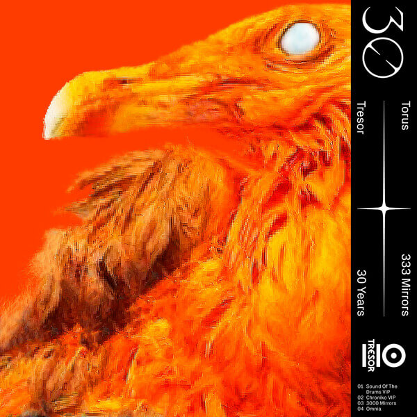 Torus - 333 Mirrors - 12"