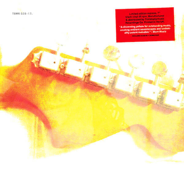 The Velvoids - What You Know b/w Absolutely Nothing - 7"