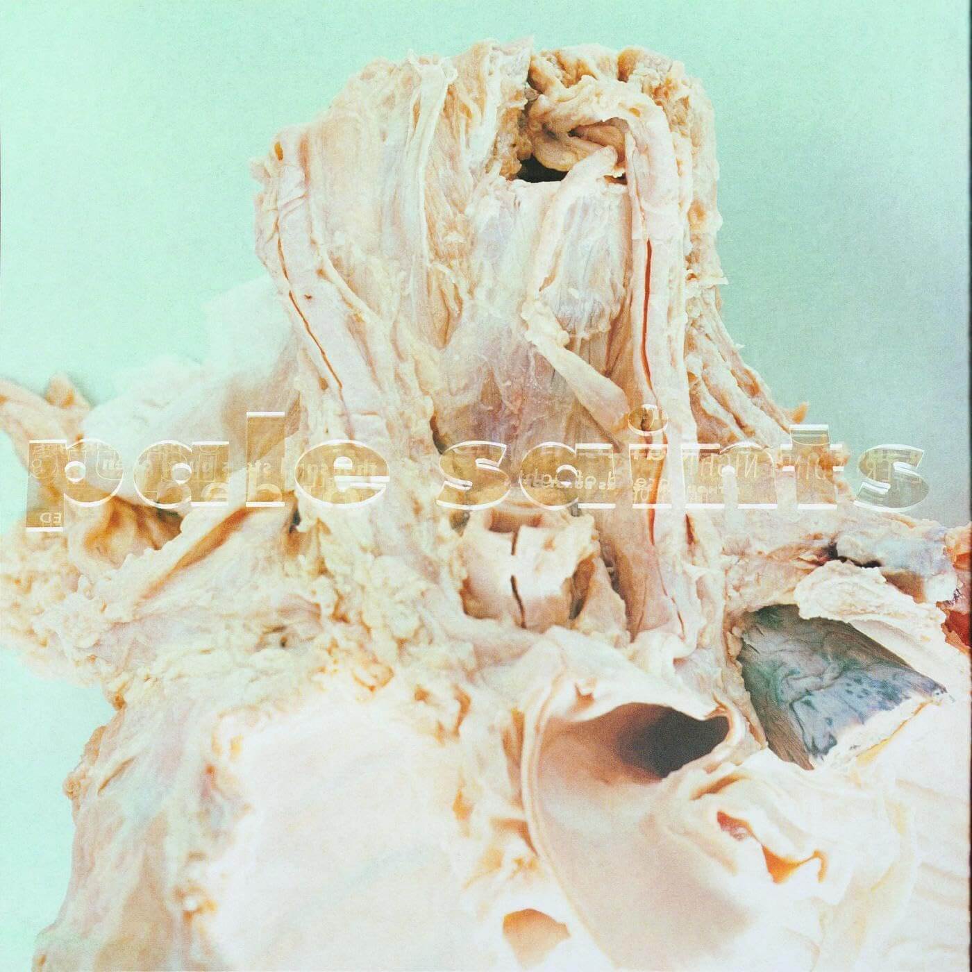 Pale Saints - In Ribbons - CD