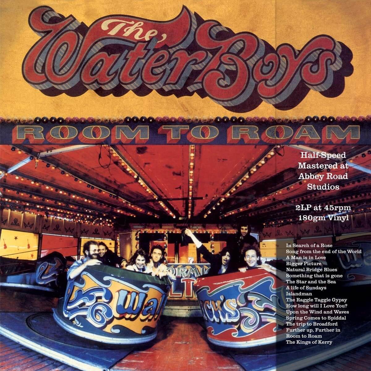 The Waterboys - Room To Roam - Vinyl LP