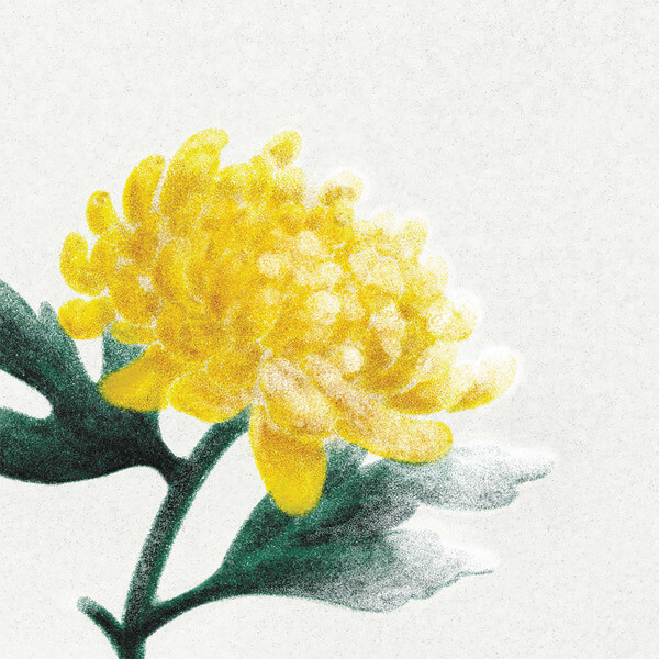 VA - Spring Snow - LP