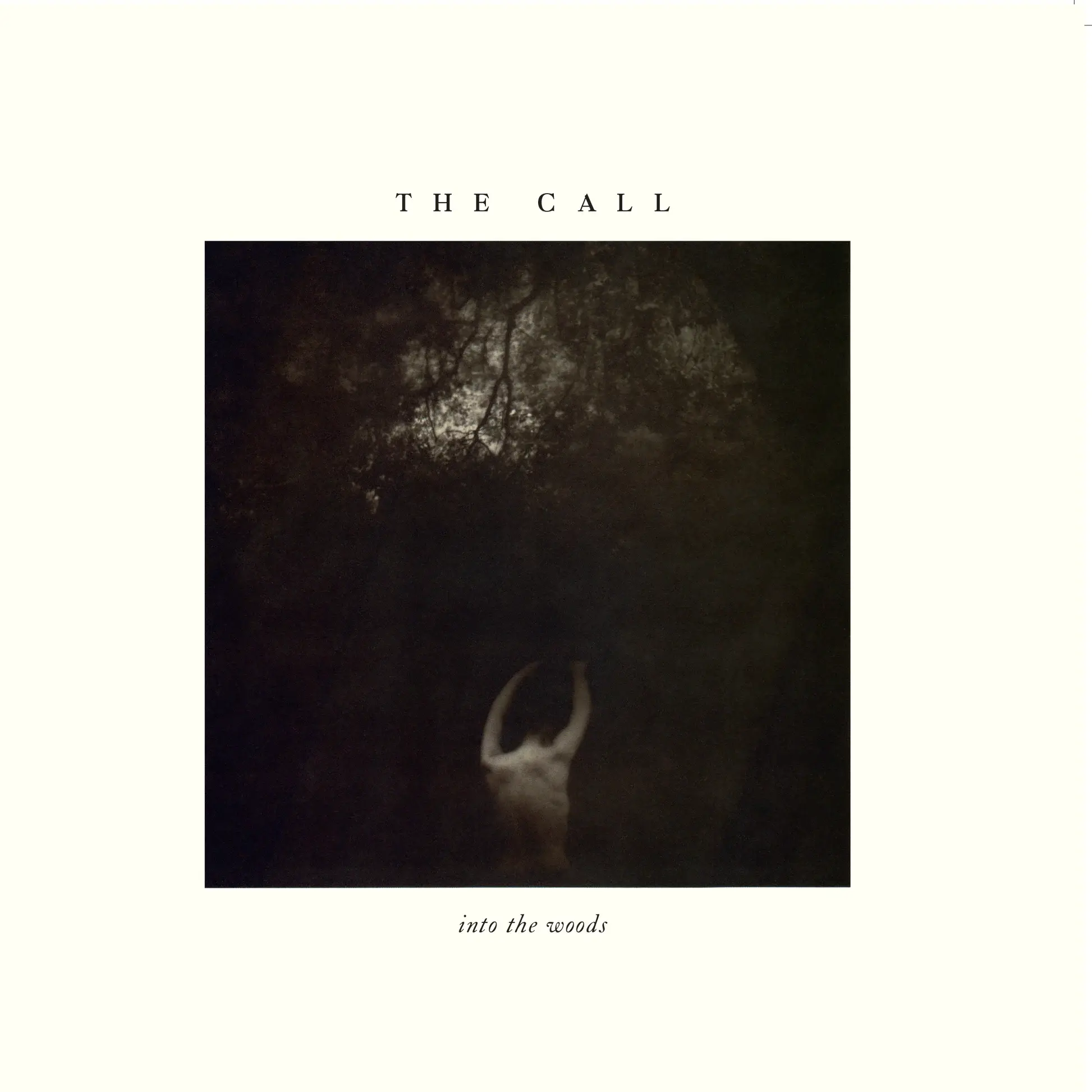 The Call - Into The Woods - Vinyl LP