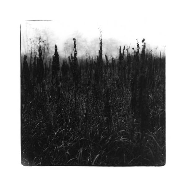 David Bennet & Vilhelm Bromander - Within Reach Of Eventuality - CD