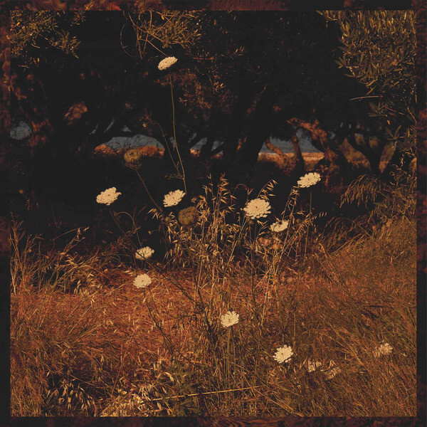 Szun Waves - Earth Patterns - CD