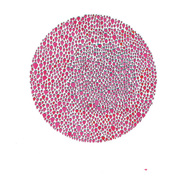 Julia Brown - An Abundance Of Strawberries - Tape