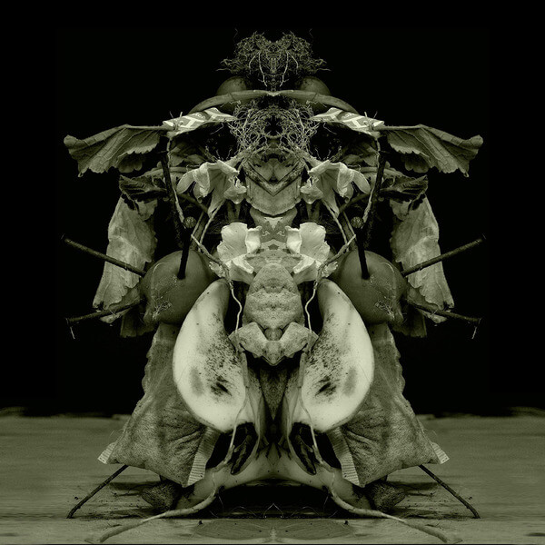 Gurun Gurun - Uzu Oto - LP