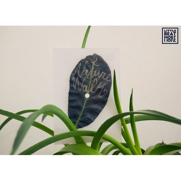 Luke Beats - Nature Walk  - 7"