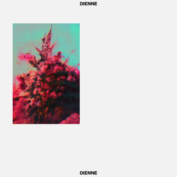 Dienne - Addio - LP