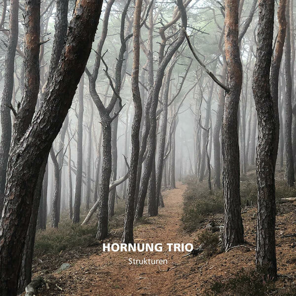 Hornung Trio - Strukturen - CD