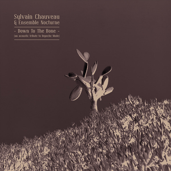 Sylvain Chauveau - Down to the Bone (An Acoustic Tribute to Depeche Mode) - CD