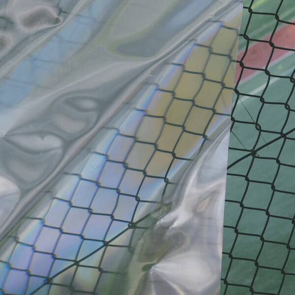 Dentistry - LP1 - LP