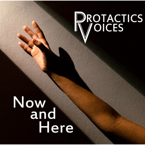 Protactics Voices - Now And Here - CD