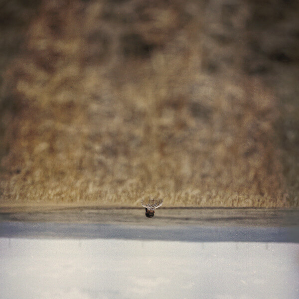 Jim O'Rourke - Hands That Bind - LP
