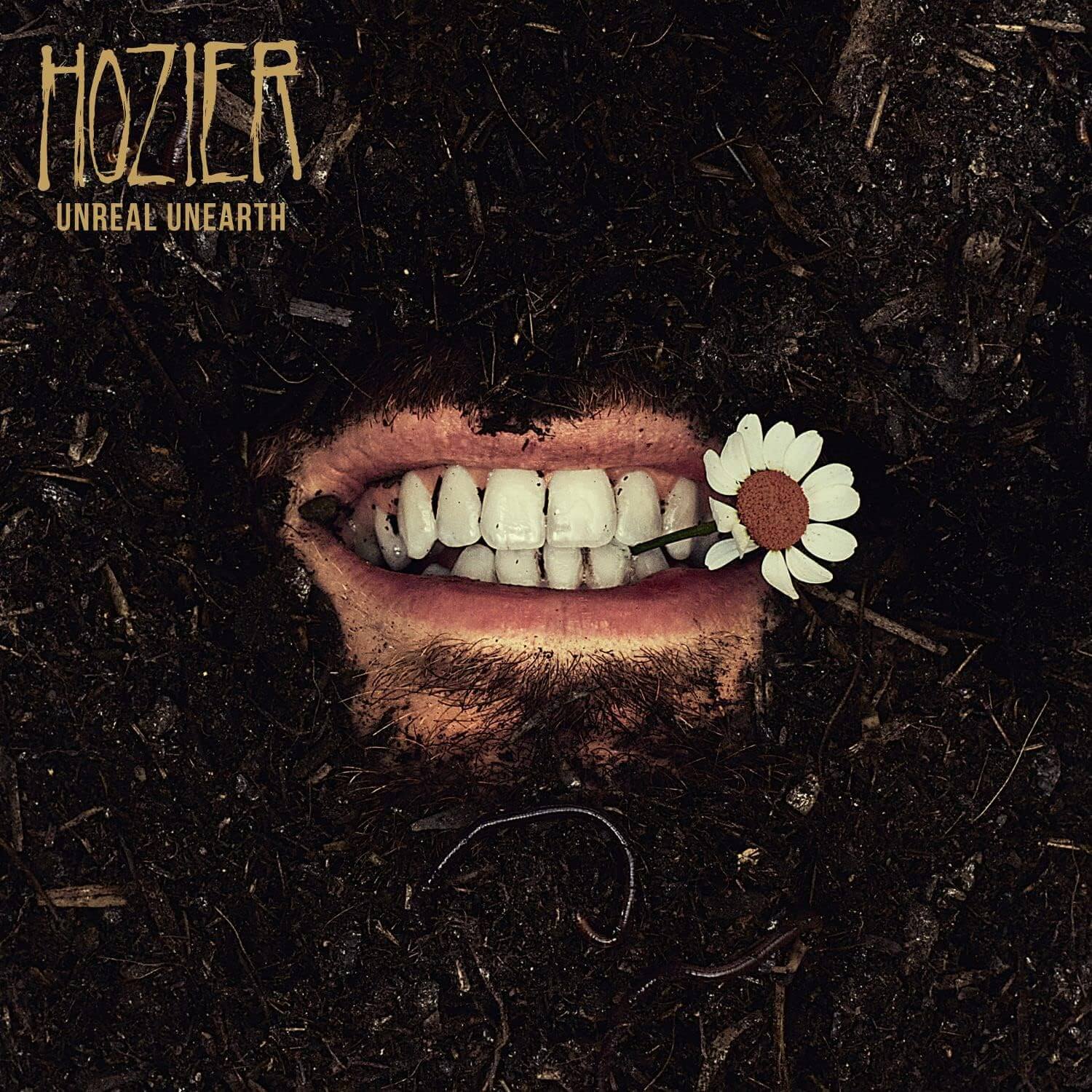 Hozier - Unreal Unearth - Vinyl LP