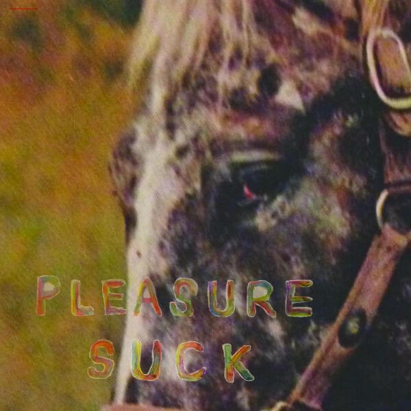 Spirit Of The Beehive - Pleasure Suck - LP