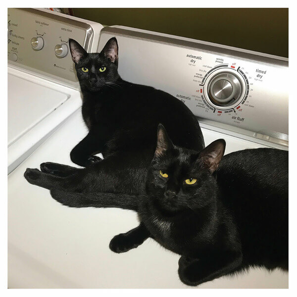 Sam Prep & John McEntire - Sons Of - 2LP