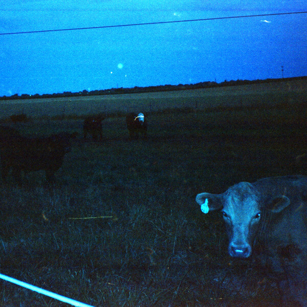 Waveform - Antarctica - LP