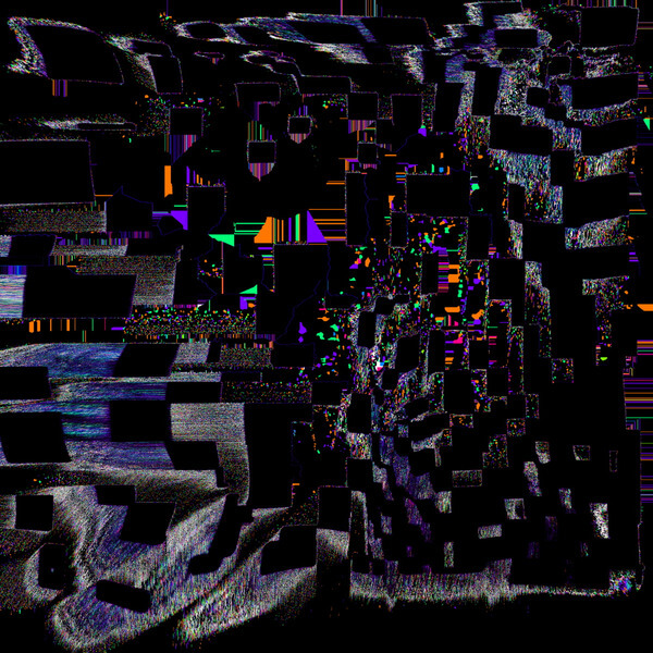 Primrose - Los Angeles Wingspan - 12"