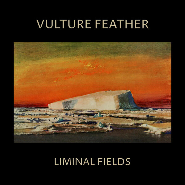 Vulture Feather - Liminal Fields - LP