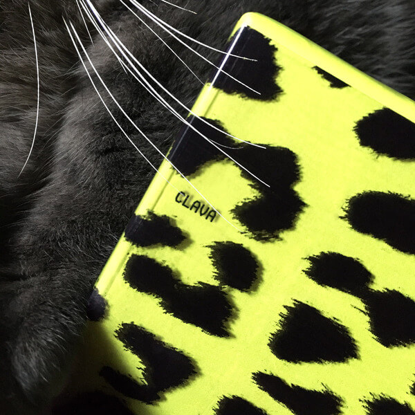 Wesqk Coast - Clava - Tape