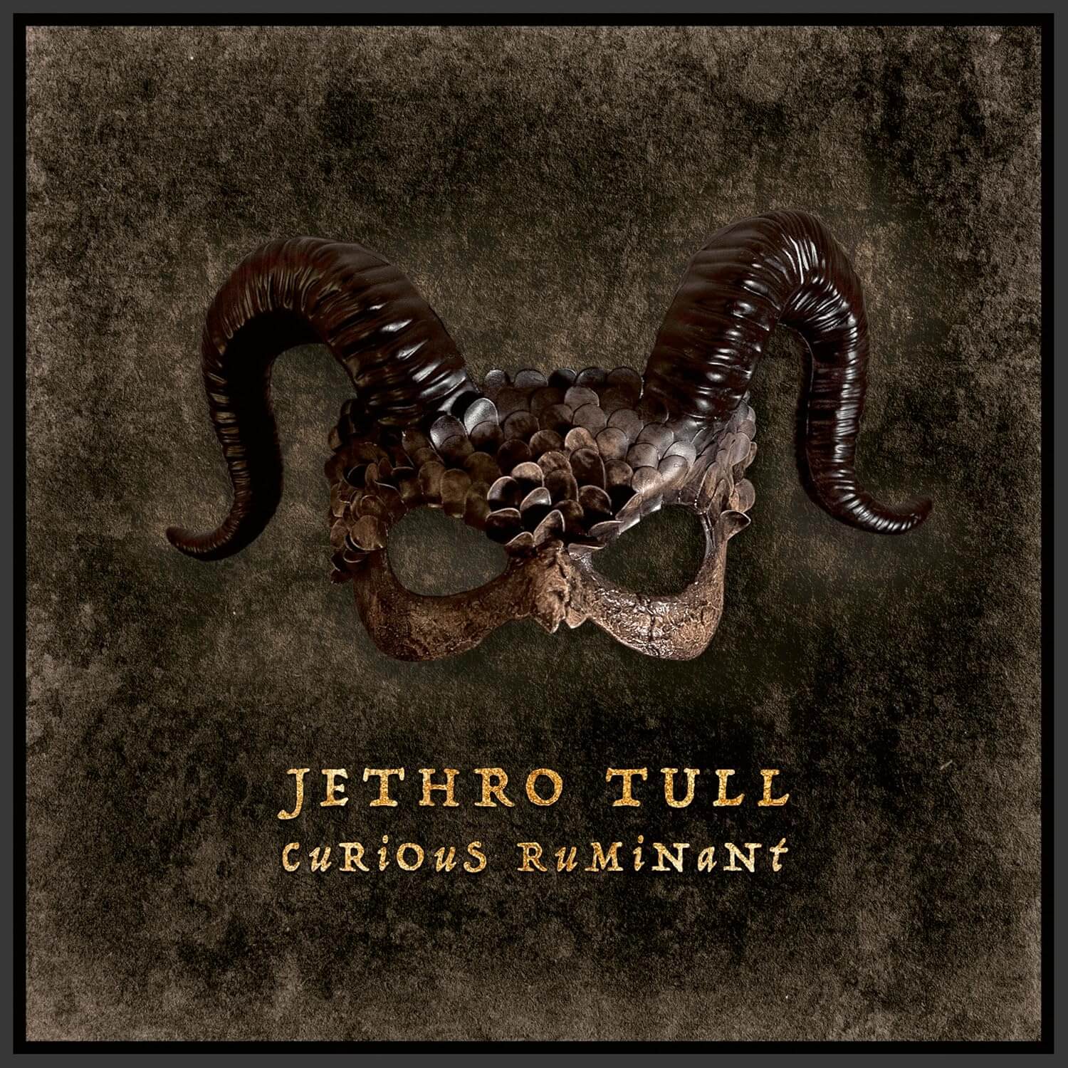 Jethro Tull - Curious Ruminant - CD