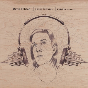 David Sylvian - Died In The Wool - Manafon Variations - Vinyl LP