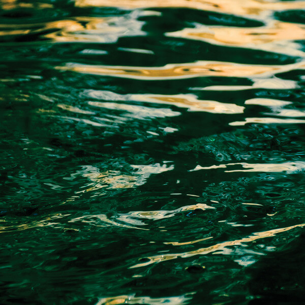 Jo Johnson - The Wave Ahead - LP