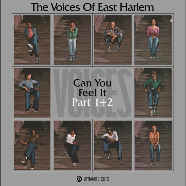 Voices Of East Harlem - Can You Feel It - 7"