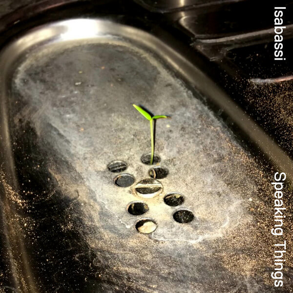 Isabassi - Speaking Things - Tape